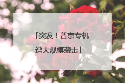 突发！普京专机遭大规模袭击