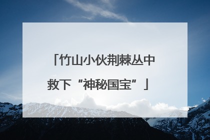 竹山小伙荆棘丛中救下“神秘国宝”