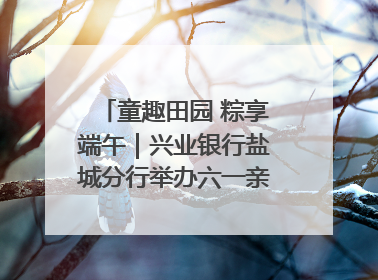 童趣田园 粽享端午｜兴业银行盐城分行举办六一亲子嘉年华活动
