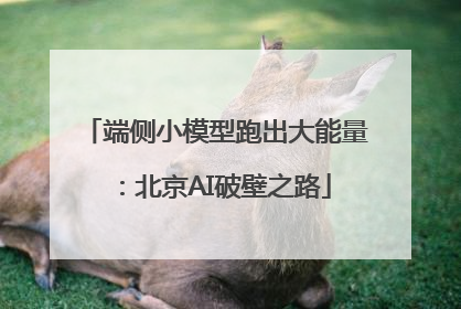 端侧小模型跑出大能量：北京AI破壁之路