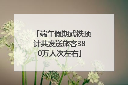 端午假期武铁预计共发送旅客380万人次左右