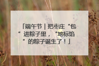 端午节｜把枣庄“包”进粽子里，“地标馅”的粽子诞生了！