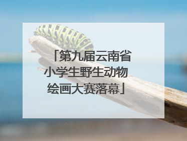 第九届云南省小学生野生动物绘画大赛落幕