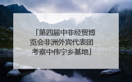 第四届中非经贸博览会非洲外宾代表团考察中伟宁乡基地
