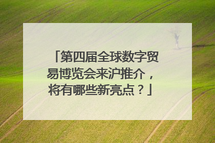 第四届全球数字贸易博览会来沪推介，将有哪些新亮点？