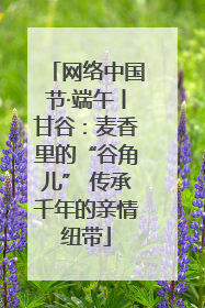 网络中国节·端午丨甘谷：麦香里的“谷角儿” 传承千年的亲情纽带