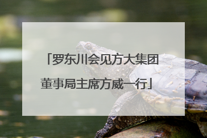 罗东川会见方大集团董事局主席方威一行