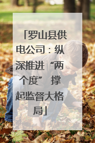 罗山县供电公司：纵深推进“两个度” 撑起监督大格局