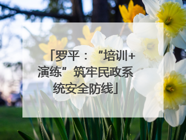 罗平：“培训+演练”筑牢民政系统安全防线
