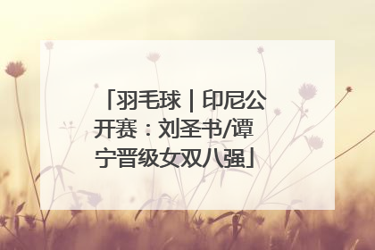 羽毛球｜印尼公开赛：刘圣书/谭宁晋级女双八强