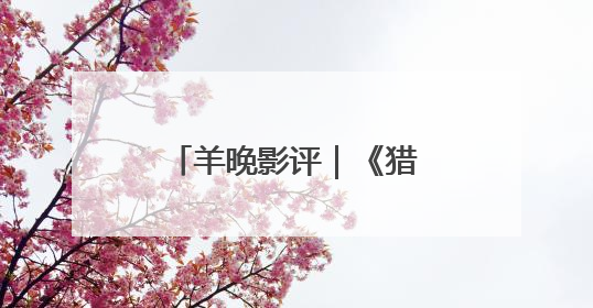 羊晚影评｜《猎金游戏》是剧集版的PPT吗？