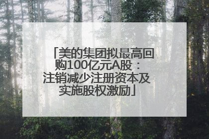美的集团拟最高回购100亿元A股：注销减少注册资本及实施股权激励