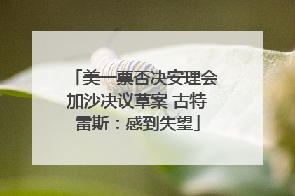 美一票否决安理会加沙决议草案 古特雷斯：感到失望