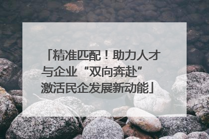精准匹配！助力人才与企业“双向奔赴” 激活民企发展新动能