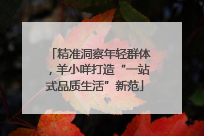 精准洞察年轻群体，羊小咩打造“一站式品质生活”新范