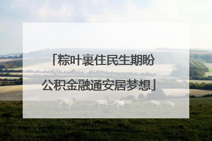 粽叶裹住民生期盼 公积金融通安居梦想