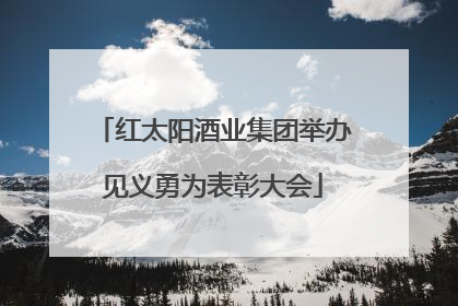 红太阳酒业集团举办见义勇为表彰大会