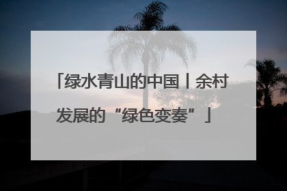 绿水青山的中国丨余村发展的“绿色变奏”