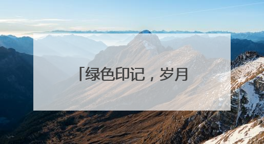 绿色印记，岁月沉香丨长沙县绿色食品“老字号”的时光答卷