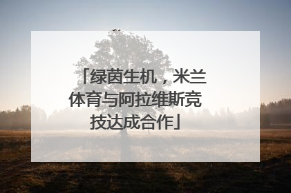 绿茵生机，米兰体育与阿拉维斯竞技达成合作