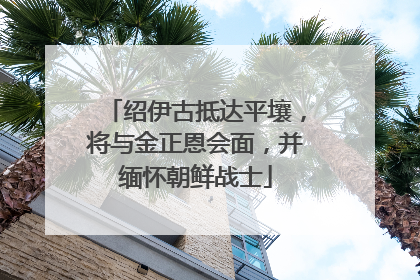 绍伊古抵达平壤，将与金正恩会面，并缅怀朝鲜战士