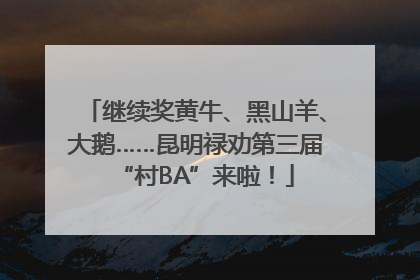继续奖黄牛、黑山羊、大鹅……昆明禄劝第三届“村BA”来啦！