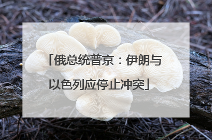 俄总统普京：伊朗与以色列应停止冲突