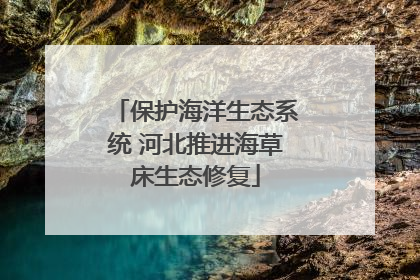 保护海洋生态系统 河北推进海草床生态修复
