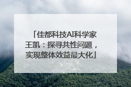 佳都科技AI科学家王凯：探寻共性问题，实现整体效益最大化