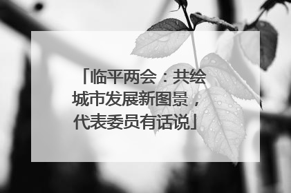 临平两会：共绘城市发展新图景，代表委员有话说