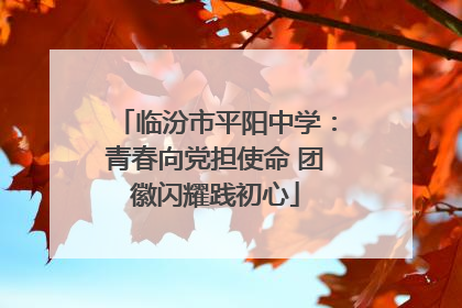 临汾市平阳中学：青春向党担使命 团徽闪耀践初心