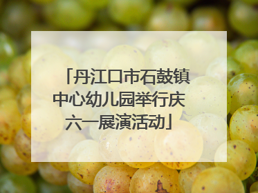 丹江口市石鼓镇中心幼儿园举行庆六一展演活动
