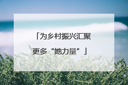 为乡村振兴汇聚更多“她力量”