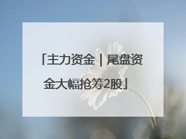 主力资金｜尾盘资金大幅抢筹2股