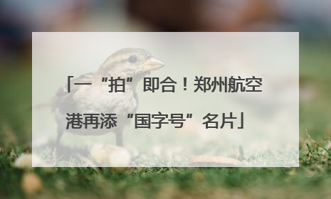 一“拍”即合！郑州航空港再添“国字号”名片