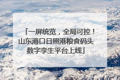 一屏统览，全局可控！山东港口日照港粮食码头数字孪生平台上线