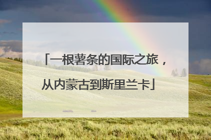 一根薯条的国际之旅，从内蒙古到斯里兰卡
