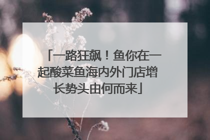 一路狂飙！鱼你在一起酸菜鱼海内外门店增长势头由何而来