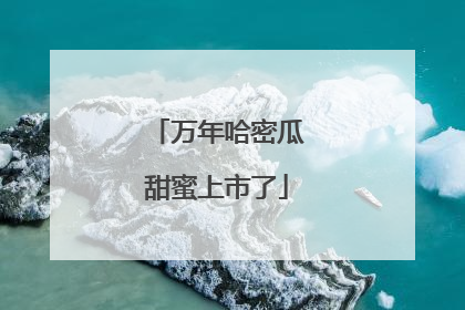 万年哈密瓜甜蜜上市了