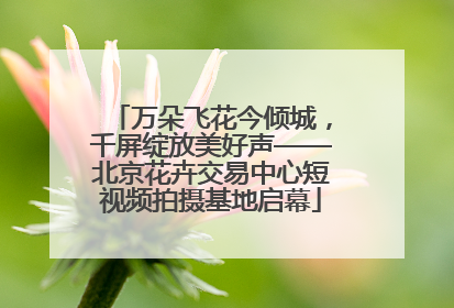 万朵飞花今倾城，千屏绽放美好声——北京花卉交易中心短视频拍摄基地启幕