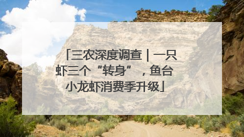 三农深度调查｜一只虾三个“转身”，鱼台小龙虾消费季升级