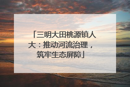 三明大田桃源镇人大：推动河流治理，筑牢生态屏障