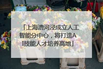 上海漕河泾成立人工智能分中心，将打造AI技能人才培养高地