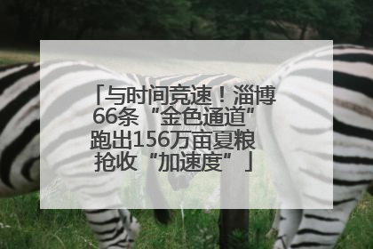 与时间竞速！淄博66条“金色通道”跑出156万亩夏粮抢收“加速度”