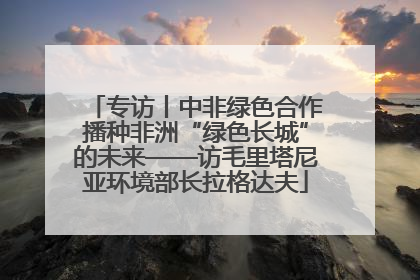 专访丨中非绿色合作播种非洲“绿色长城”的未来——访毛里塔尼亚环境部长拉格达夫