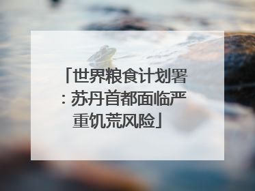 世界粮食计划署：苏丹首都面临严重饥荒风险