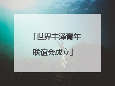 世界丰泽青年联谊会成立