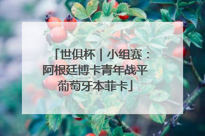 世俱杯｜小组赛：阿根廷博卡青年战平葡萄牙本菲卡