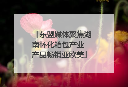 东盟媒体聚焦湖南怀化箱包产业 产品畅销亚欧美