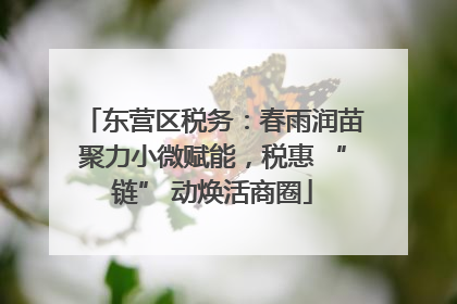 东营区税务：春雨润苗聚力小微赋能，税惠 “链” 动焕活商圈